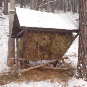 uz len aby zverinka chodila