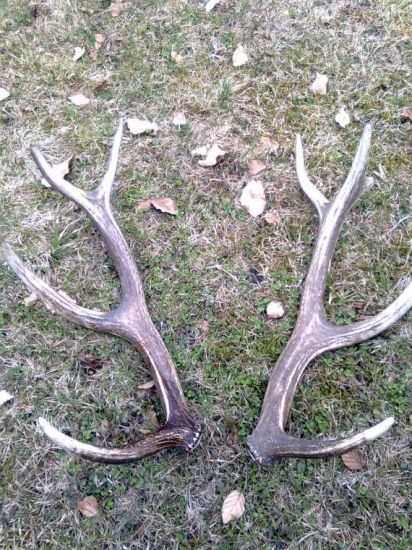 10 torak nepravidelny