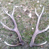 10 torak nepravidelny