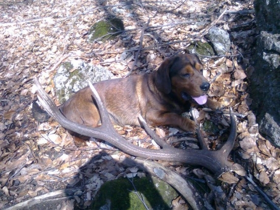 atosov tento rok druhííí