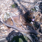 atosov tento rok druhííí