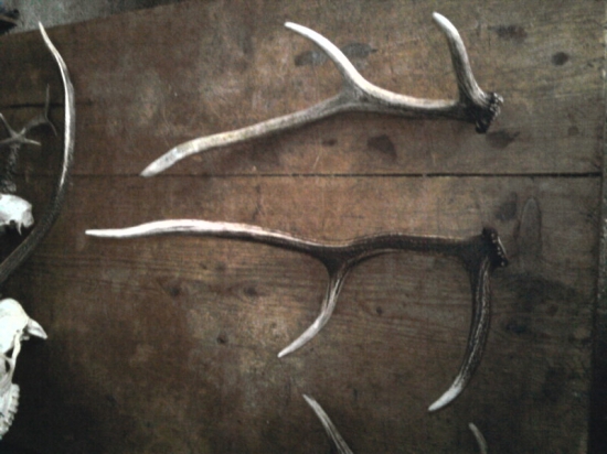 Otcove tento rok ale staré