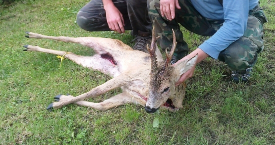 Mal zlomenú spodnú sánku