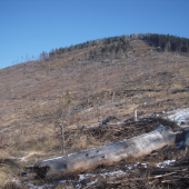 Rakúšania sa činili :/