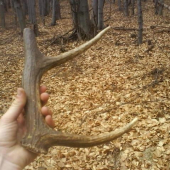 Ako vravy hunter333 aj najmensi potesi