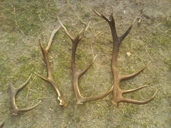 Moja a ocova tohto rocna zbierka