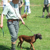 AXA spod gurovky