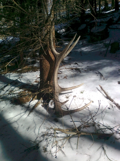 konečne sa zadarilo