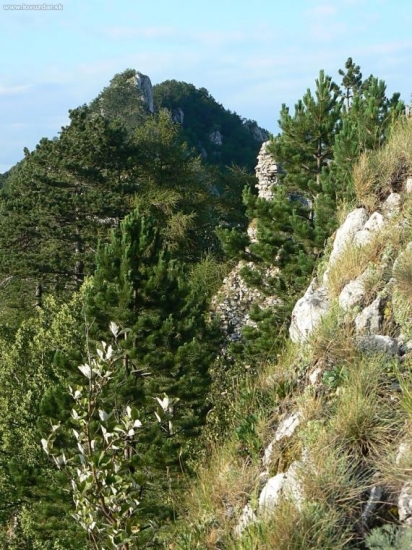Vršatec z druhej strany