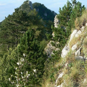 Vršatec z druhej strany