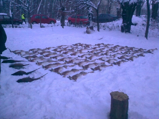Pekné časi