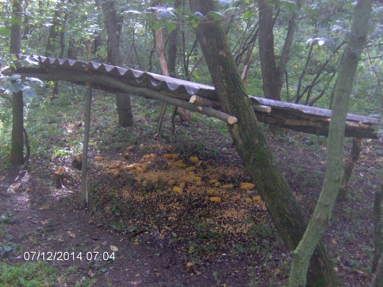 Nasipec pre bažantiu zver