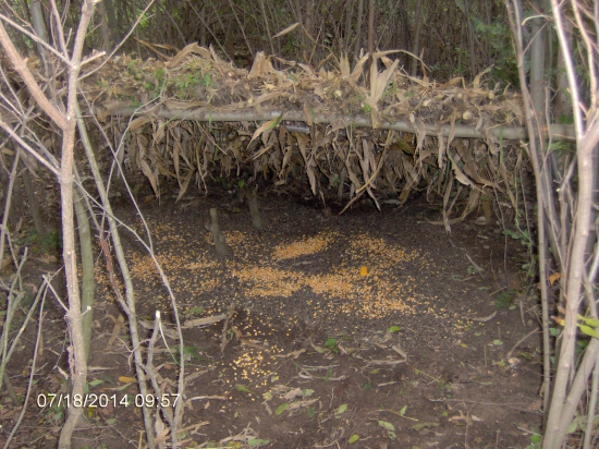 Nasipec pre bažantiu zver 2