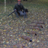 Druhá spoločná na bažnti