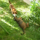 silnejsi vyhrava....CERO a KUBO