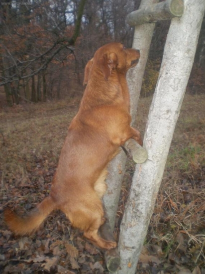 snazil sa chudacisko...