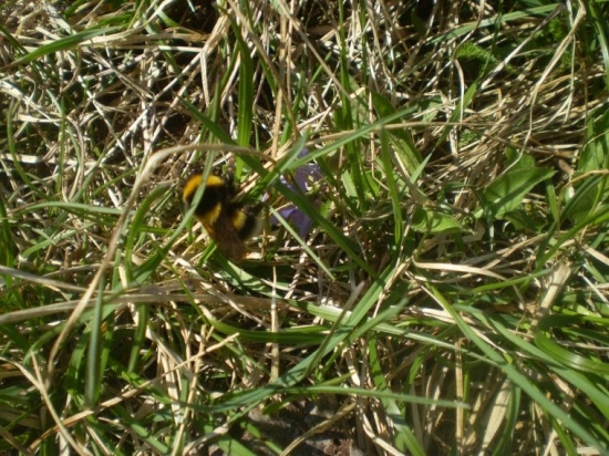 aj tak sa k tebe dostanem...