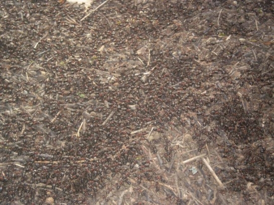 len tak šuštali...