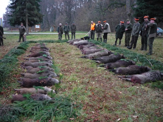 Poplatková
