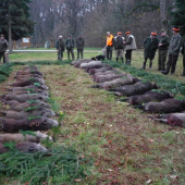 Poplatková