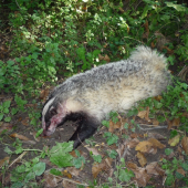 Na septembrovom splne