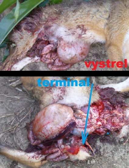 Geco plus 30-06 sprg