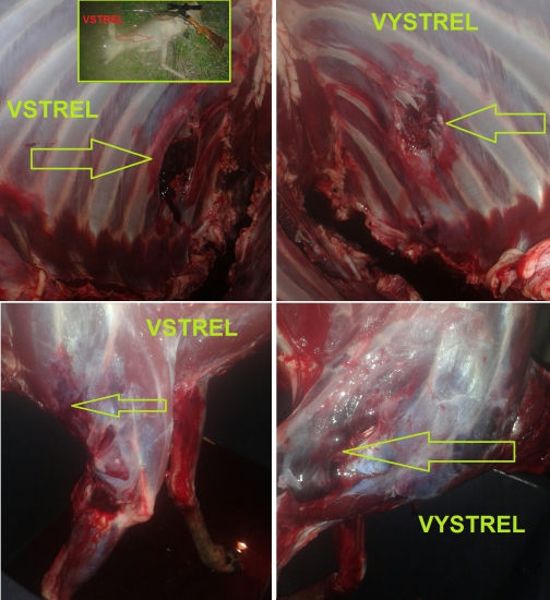 Federal Power-Shock 3,24g SP-222rem