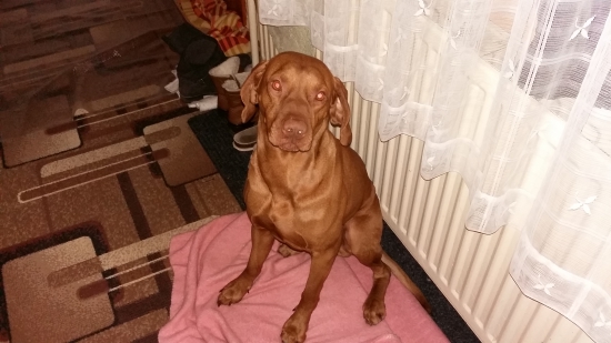 keď je vonku chladno :-)