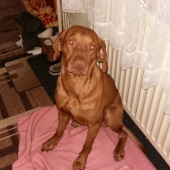 keď je vonku chladno :-)