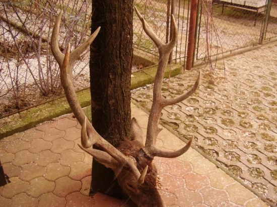Upytlačený a nájdený