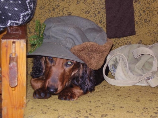 Unava po spoloč. poľovačke