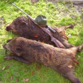 Môj dnešný úlovok