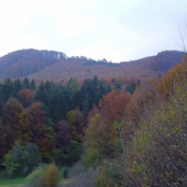 Naša Malenica na jeseň