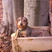 Kontrola soliska