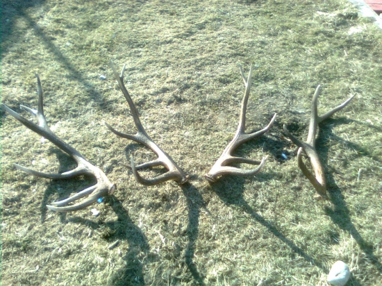 Jeden uspešný víkend - ďakujem za radu kamarátovi