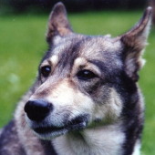 NELA, moje první lajka, to byla profesorka...