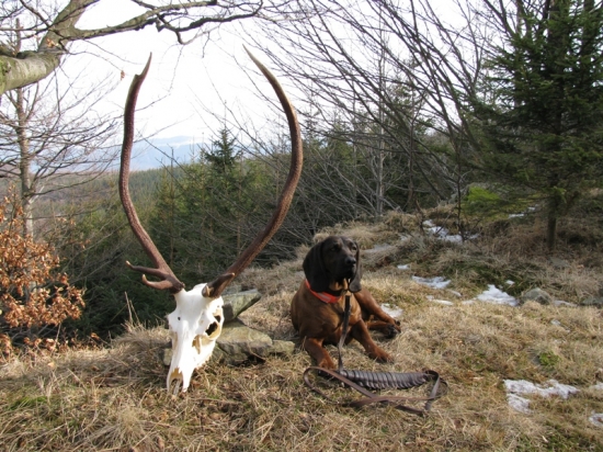 Jeden z dřívějších