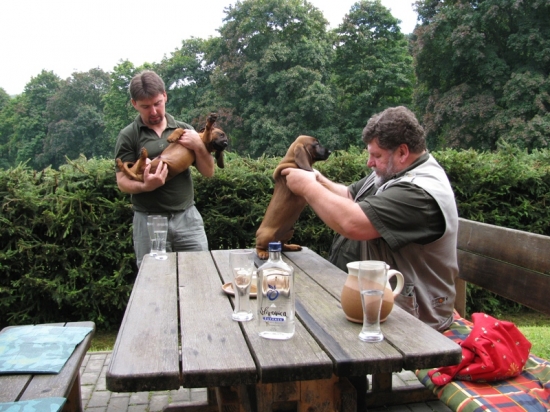 Pan rada si vybírá nového kamaráda