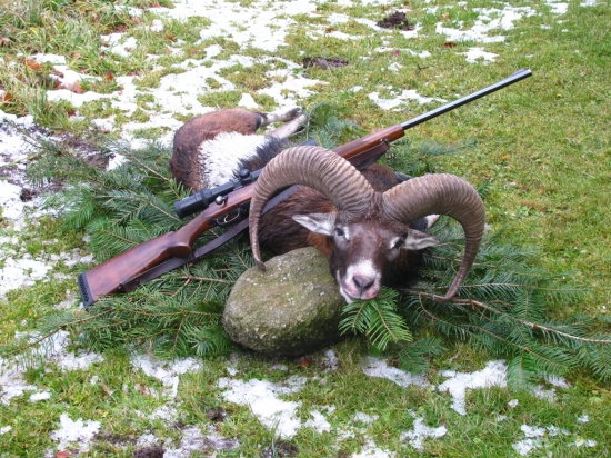 Návštěva muaythai byla úspěšná