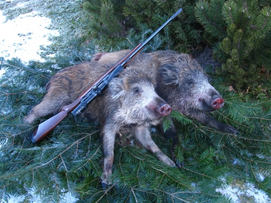 Návštěva muaythai byla úspěšná