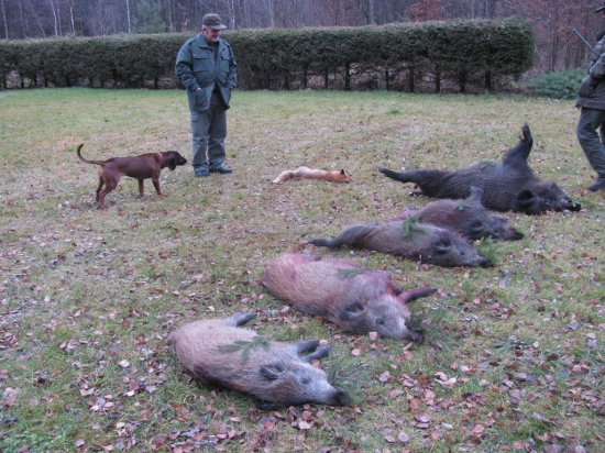 Podívat se přišli i důchodci