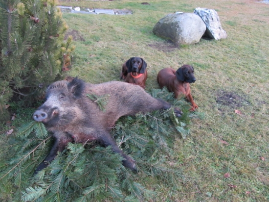 Zase jsme nebyly potřeba