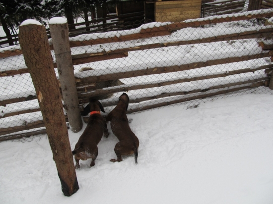Dovnitř nás nechtěli pustit