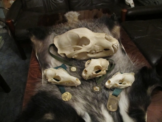 Některé z medailových