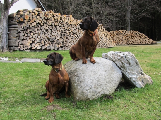 Termín už se nám blíží