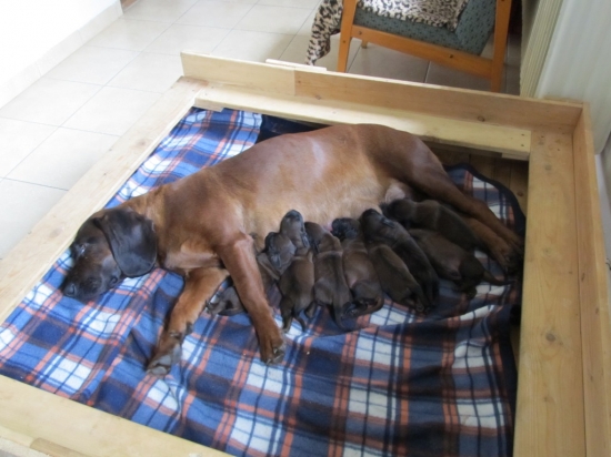 Už máme skoro týden