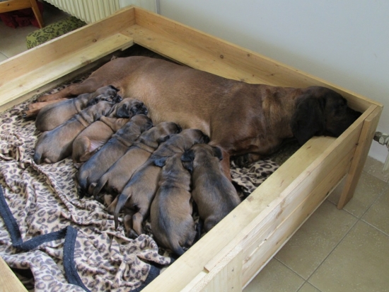 Už se tam nemůžeme vejít