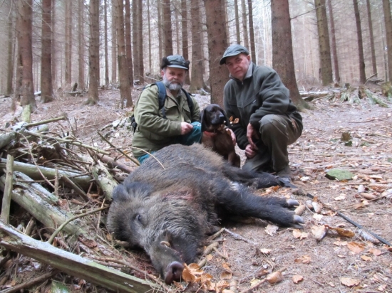 Dnes pro nás zase přijeli