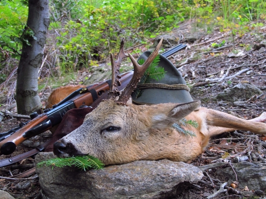 Trofejově slabý, ale má osm roků...