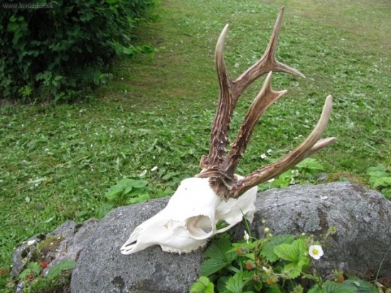 Jeden z dřívějších